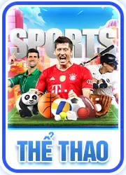 thể thao rr88