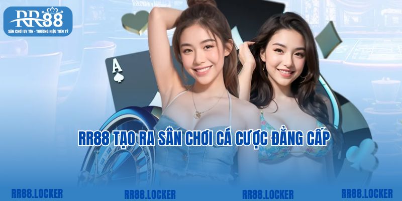 RR88 tạo ra sân chơi cá cược đẳng cấp
